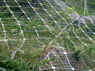 冠合六角石笼网，六角边坡防护网，水利工程石笼网