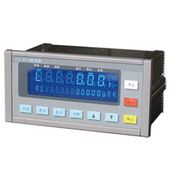無錫申克AI-VEG-60C+控制儀表稱重計量儀表